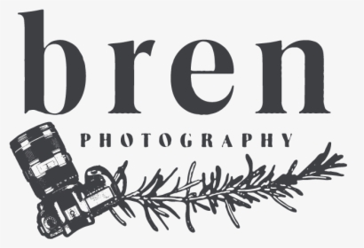 Bren Photography - Christmas Tree, HD Png Download, Free Download