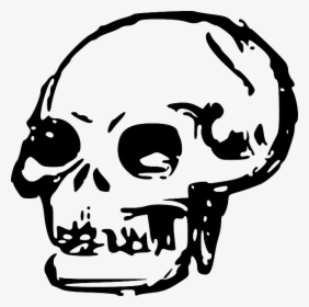 Head, Dead, Skull, Human, Bones, Skulls - Skull Clip Art Png, Transparent Png, Free Download