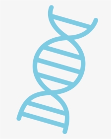 Dna Png - Dna Png No Background, Transparent Png, Free Download