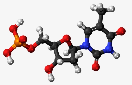 3d Dna Png Picture Freeuse Download - Adenosine Triphosphate 3d Structure, Transparent Png, Free Download