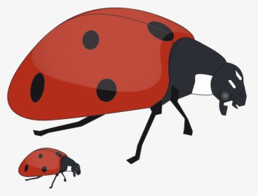 Fox Clipart Mommy - Big And Small Ladybug, HD Png Download, Free Download