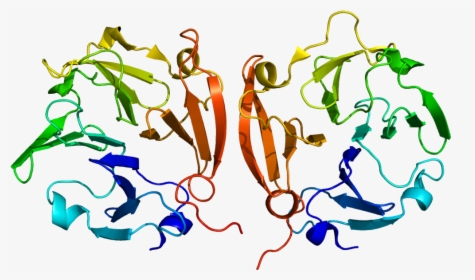 Protein Mmp9 Pdb 1itv - Matrix Metalloproteinase 9, HD Png Download, Free Download