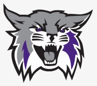 Weber State University Mascot, HD Png Download, Free Download