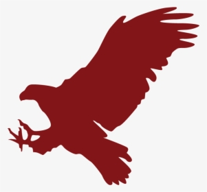 Transparent Bald Eagle Silhouette, HD Png Download, Free Download