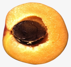 Peach, HD Png Download, Free Download