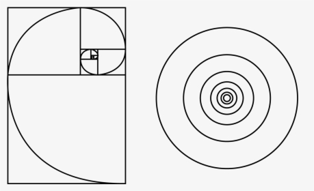 Golden Ratio, HD Png Download, Free Download