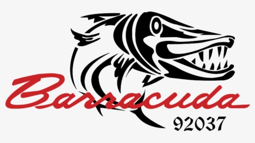 Barracuda Logo, HD Png Download, Free Download