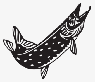 Northern Pike Clipart, HD Png Download, Free Download