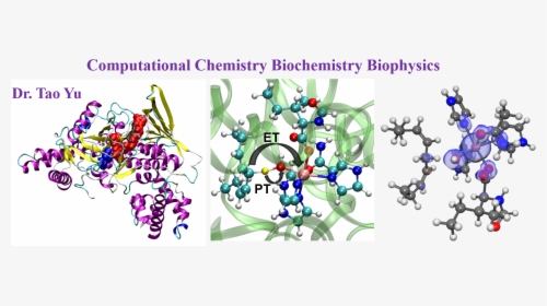 Cashman, Ph - Diagnostic Biosystems, HD Png Download, Free Download