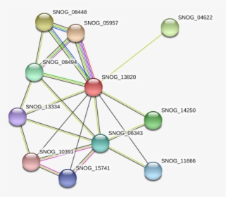 Snog 13820 Protein - Circle, HD Png Download, Free Download