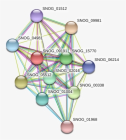 Snog 09191 Protein - Circle, HD Png Download, Free Download