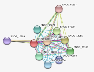 Snog 08472 Protein - Circle, HD Png Download, Free Download