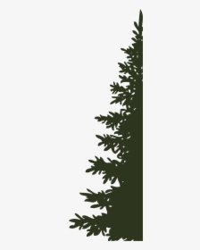 Chinook Fest - Silhouette Pictures Of Real Christmas Trees, HD Png Download, Free Download