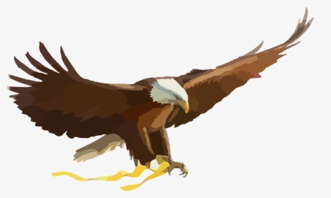 Flying Eagle Clipart, HD Png Download, Free Download