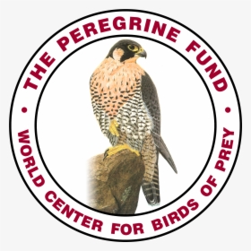 World Center For Birds Of Prey Boise, HD Png Download, Free Download