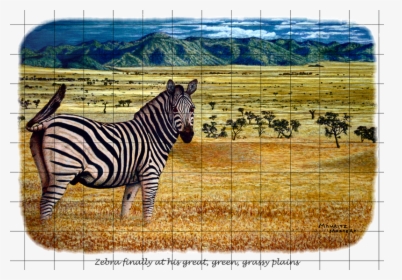 Zebra Plains Web Gr - Zebra, HD Png Download, Free Download