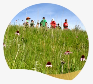 Photo Of Membership Package - Grassland, HD Png Download, Free Download