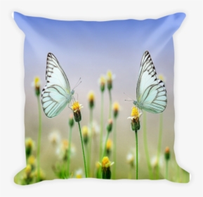 Butterfly Pillow, Throw Pillow, Decorative Pillow, - Pillow Printing Design Png, Transparent Png, Free Download