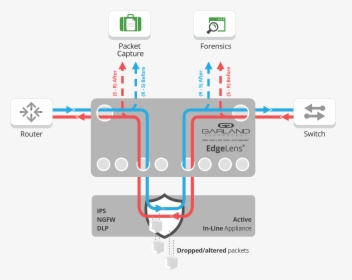 Diagram, HD Png Download, Free Download