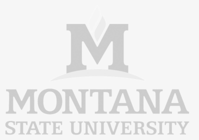 Msulogo - Montana State University, HD Png Download, Free Download