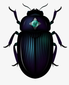 Dung Beetle, HD Png Download, Free Download