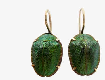 "    Data Image Id="4163154051156"  Class="productimg - Leaf Beetle, HD Png Download, Free Download