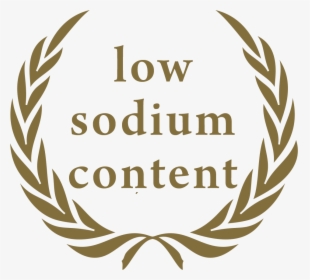 Sodium - Non Government Organization Logo, HD Png Download, Free Download