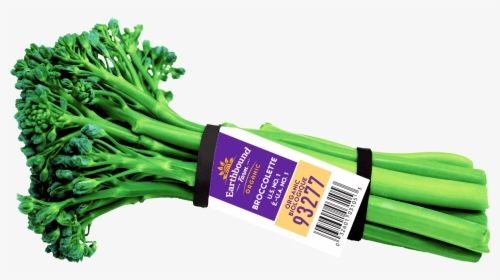 Fresh Organic Broccolette - Earthbound Broccolette, HD Png Download, Free Download