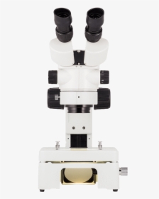 Stereo Microscope, HD Png Download, Free Download