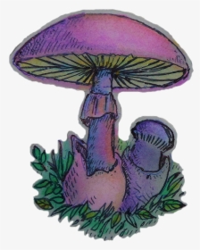 #mushroom #shroom #420 #flower #aesthetic #kawaii #love - Cartoon Like Aesthetic Mushrooms, HD Png Download, Free Download