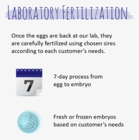 We Develop Embryos Using A Propriety Culture System - Lips, HD Png Download, Free Download
