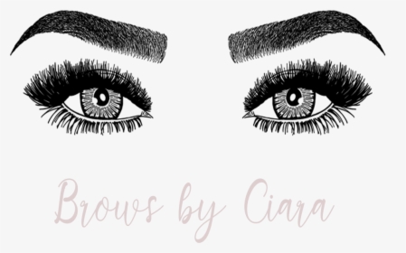 Brows And Lashes Png, Transparent Png, Free Download