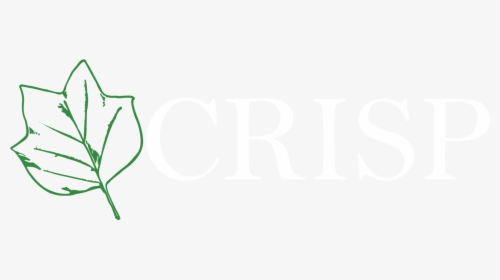 Crisp - Jurist, HD Png Download, Free Download
