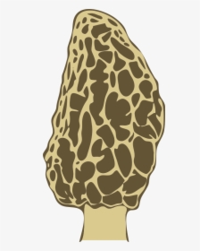 Morel Mushroom - Morel Mushrooms Clip Art, HD Png Download, Free Download