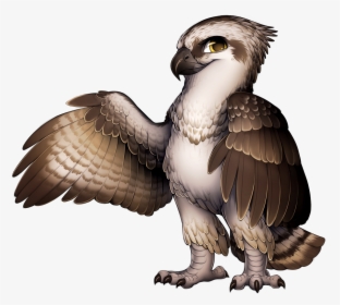 Red Tailed Hawk Furry, HD Png Download, Free Download