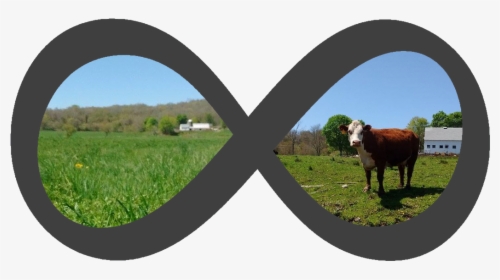 Grass, HD Png Download, Free Download