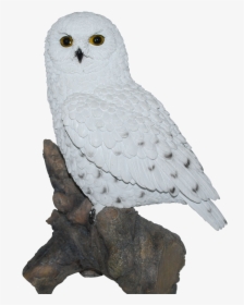 Perrywood Online Shopping - Snowy Owl, HD Png Download, Free Download