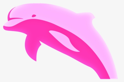 Amazon River Dolphin Clipart, HD Png Download, Free Download