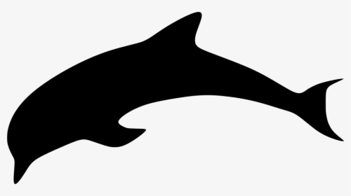 Delfin Obrys Clipart , Png Download - Obrys Delfína, Transparent Png, Free Download