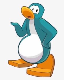 Penguin PNG Images, Free Transparent Penguin Download - KindPNG