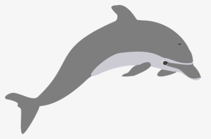 Delfín, Salto, Gris, Elegante - Transparent Dolphin Clip Art, HD Png Download, Free Download