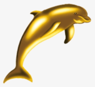 Delfin Dorado, HD Png Download, Free Download