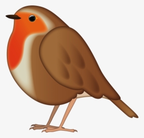 European Robin, HD Png Download, Free Download