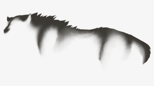 Mane, HD Png Download, Free Download