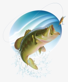 Fish Days - Jumping Largemouth Bass, HD Png Download, Free Download