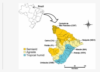 Brazil Map Png, Transparent Png, Free Download