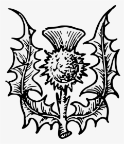 Heraldic Thistle Clipart , Png Download - Clip Art Scottish Thistle, Transparent Png, Free Download