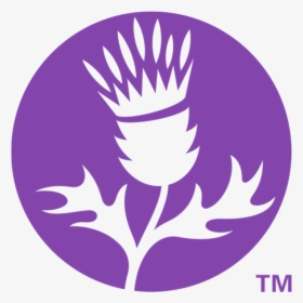 Thistle Png , Png Download - Thistle Farms, Transparent Png, Free Download