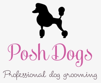 Posh Dogs Is Situated In Sileby, Leicestershire - Standard Poodle, HD Png Download, Free Download