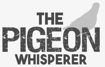 Graphic Design, HD Png Download, Free Download